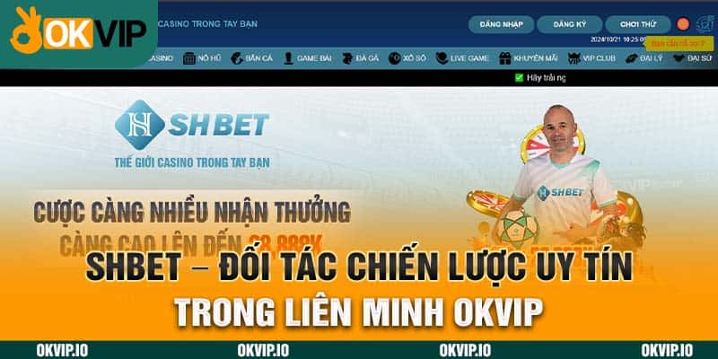 Hệ Sinh Thái OKVIP – Top 7 Đối Tác Chiến Lược Uy Tín - hình ảnh - fiixmvzyq.top